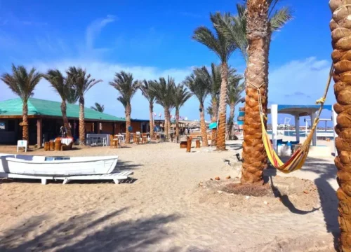 Abu Dabbab Snorkeling Trip